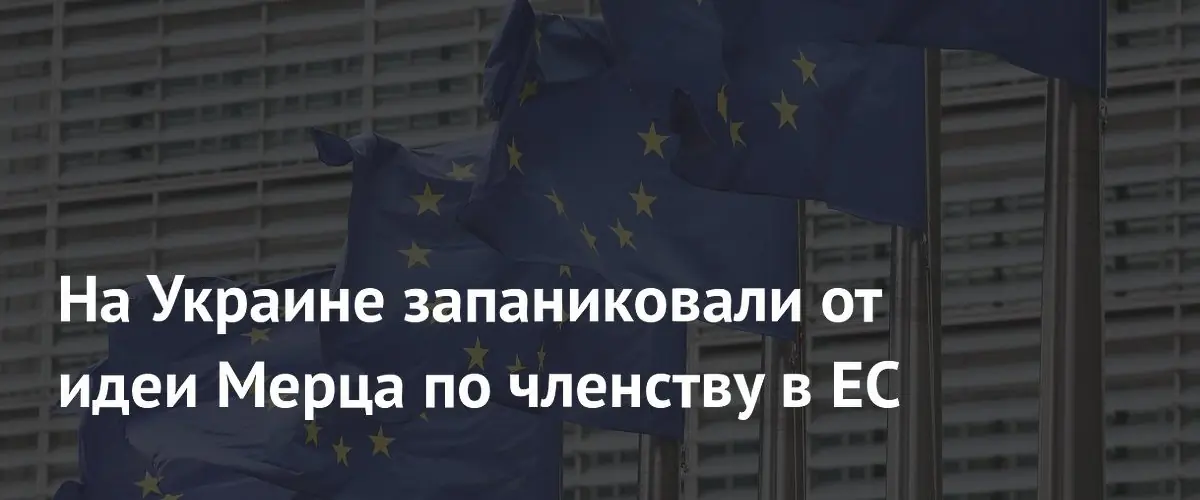 На Украине запаниковали от идеи Мерца по членству в ЕС
