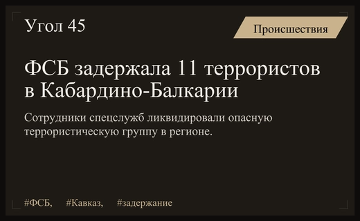 В Кабардино-Балкарии сотрудники ФСБ ликвидировали террористическую ячейку из одиннадцати человек