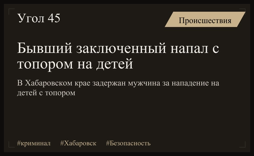 В Хабаровском крае бывший заключенный напал с топором на двоих детей