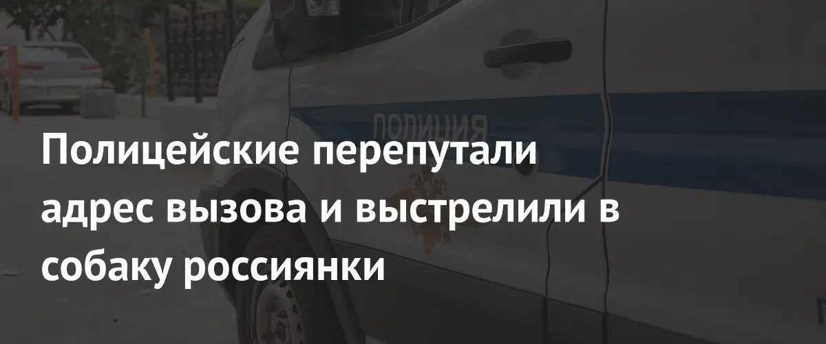 В Хабаровском крае полицейские по ошибке застрелили собаку жительницы поселка