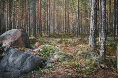 Загадочное исчезновение семьи Усольцевых в тайге Красноярского края вызывает подозрения