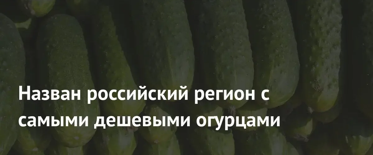 Дагестан возглавил рейтинг российских регионов с самыми доступными ценами на огурцы