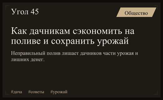 Как дачникам избежать потерь урожая и значительно сократить расходы на полив