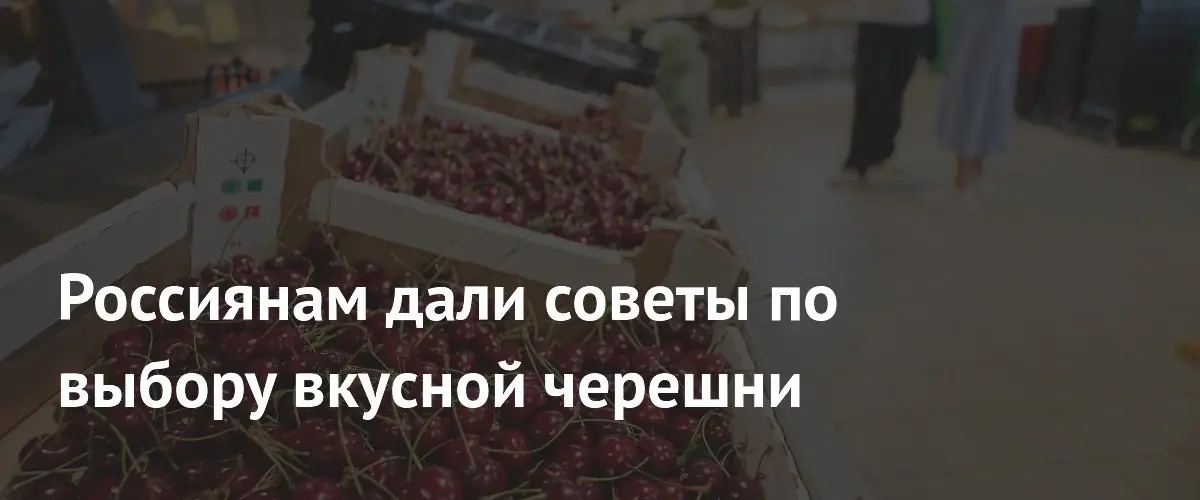 Как выбрать идеальную черешню: экспертные советы для российских покупателей