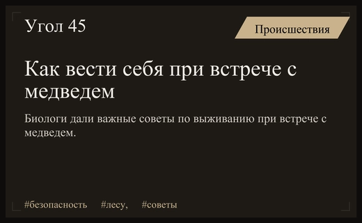 Как выжить при встрече с медведем: экспертные рекомендации биологов Алтая