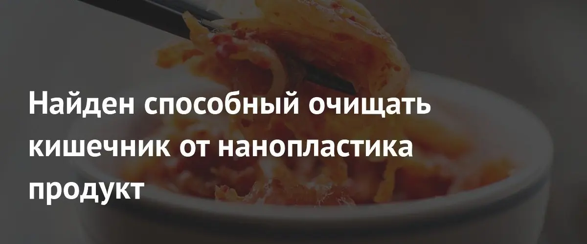 Бактерия из кимчи эффективно выводит нанопластик из кишечника