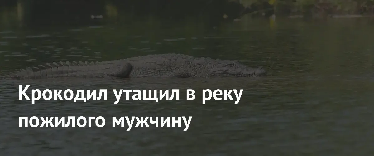 В Малайзии крокодил напал на пожилого рыбака и утащил его в реку