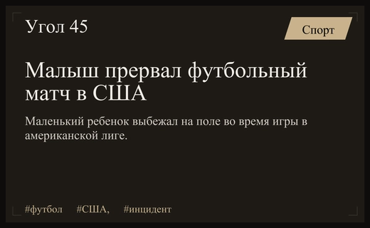 Маленький нарушитель порядка прервал напряженный футбольный матч в США