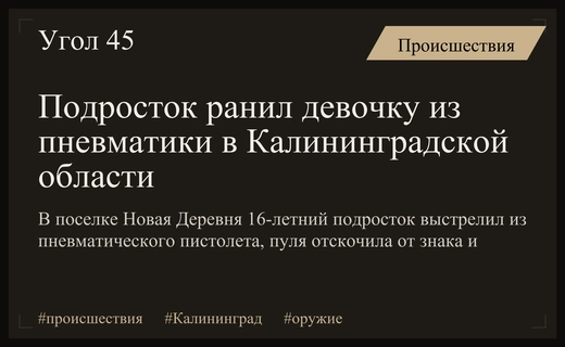 В Калининградской области подросток ранил девочку из пневматического пистолета