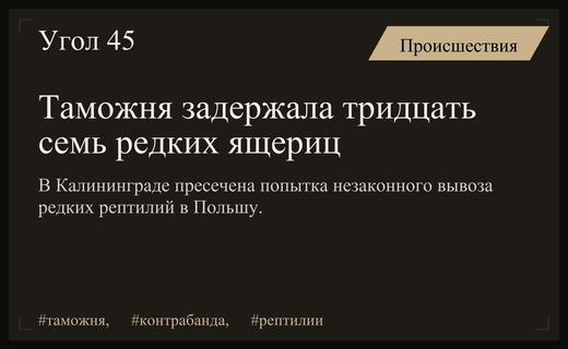 В Калининградской области пресечена попытка незаконного вывоза редких рептилий в Польшу