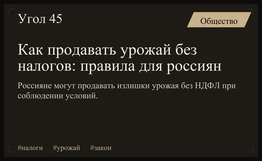 Налоговые льготы для дачников: как законно продавать урожай без уплаты НДФЛ