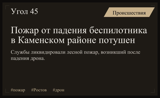 В Каменском районе ликвидировали масштабный лесной пожар после падения беспилотника