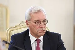 Замглавы МИД РФ Александр Грушко раскритиковал призывы Европы к мирному диалогу