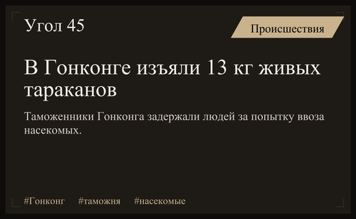 Таможня Гонконга пресекла попытки незаконного ввоза крупных партий живых насекомых