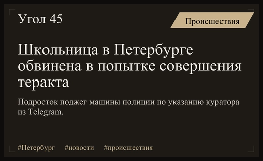 В Санкт-Петербурге 14-летняя школьница совершила поджог машин ДПС по заданию из сети