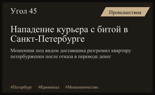 В Санкт-Петербурге нападавший под видом курьера разгромил квартиру петербурженки битой