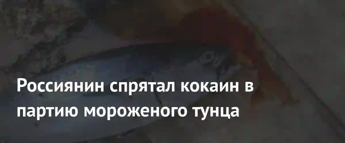 В Санкт-Петербурге задержан россиянин за попытку переправки кокаина в тунце