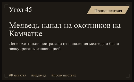 Нападение медведя на охотников на Камчатке привело к экстренной эвакуации пострадавших