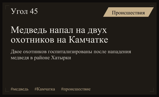 Нападение медведя на охотников на границе Камчатки и Чукотки привело к госпитализации