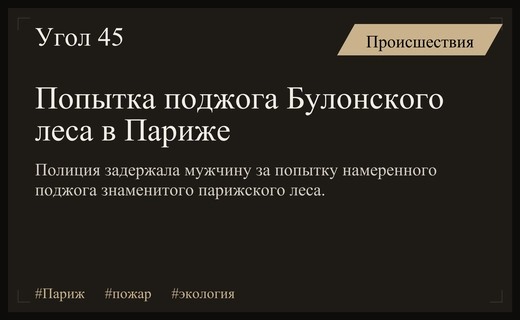 В Париже задержан мужчина за попытку поджога Булонского леса