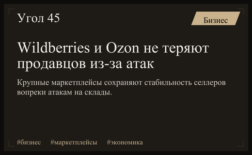 Маркетплейсы Wildberries и Ozon сохраняют позиции продавцов несмотря на атаки