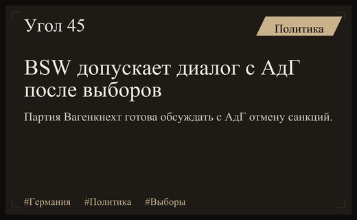 Партия Сары Вагенкнехт допускает сотрудничество с АдГ после выборов в Саксонии-Анхальт