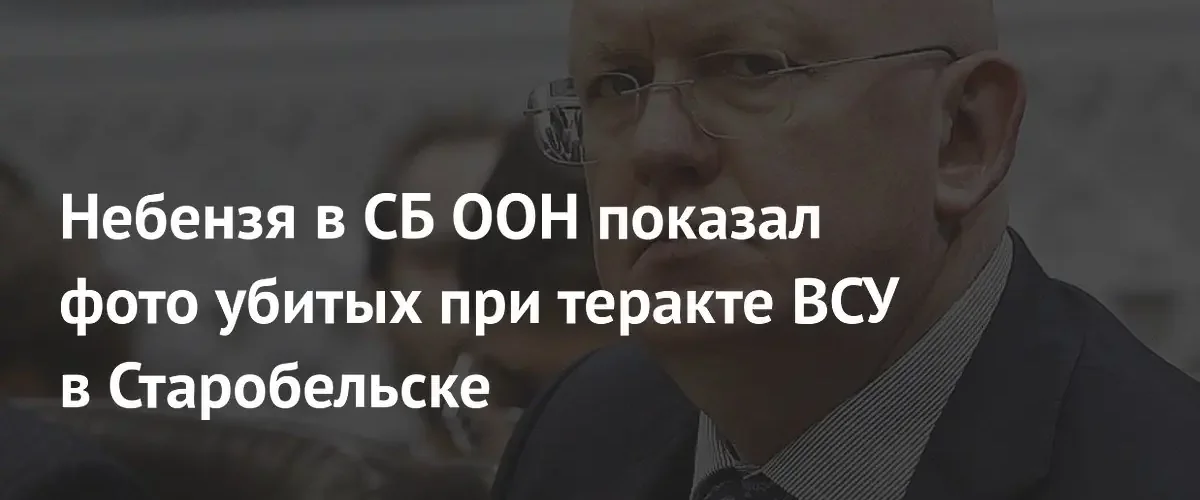 Василий Небензя представил в Совбезе ООН фотографии жертв теракта в Старобельске