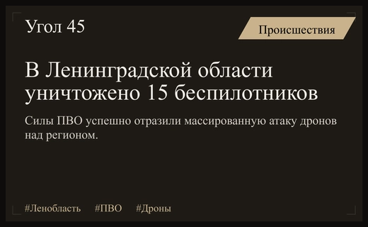 Масштабная атака беспилотников на Ленинградскую область успешно отражена силами ПВО
