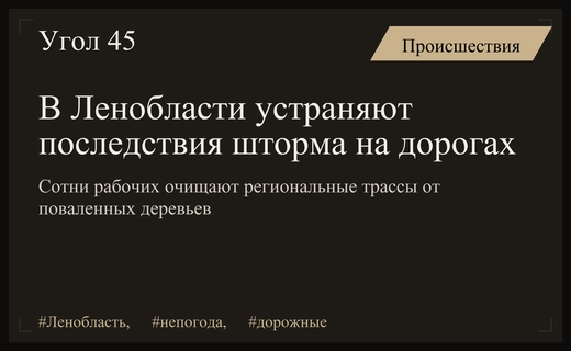 Масштабная ликвидация последствий непогоды в Ленинградской области продолжается силами спецслужб