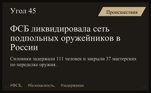 Масштабная операция ФСБ: ликвидирована сеть подпольных оружейников в сорока регионах
