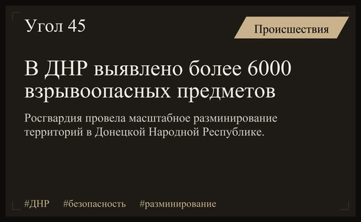Масштабная операция Росгвардии в ДНР: обнаружено более шести тысяч взрывоопасных предметов