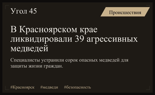 Масштабная операция в Красноярском крае завершилась ликвидацией сорока опасных медведей