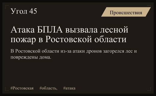 Масштабный лесной пожар и повреждения жилья в результате атаки БПЛА в Ростовской области