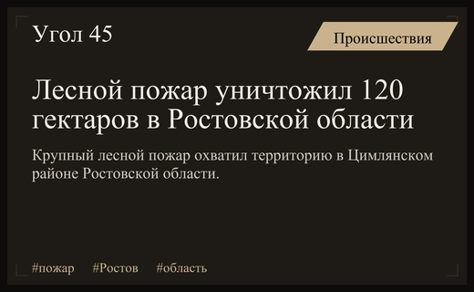 Масштабный лесной пожар охватил 120 гектаров земли в Цимлянском районе