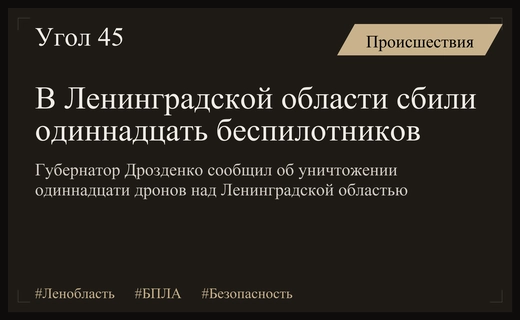 Массированная атака беспилотников на Ленинградскую область: подробности работы ПВО