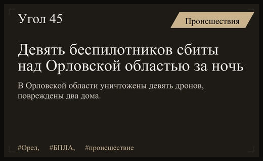 Массированная атака беспилотников над Орловской областью завершилась уничтожением девяти дронов