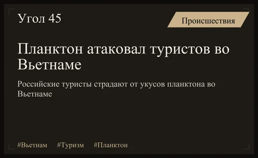 Массовая атака планктона во Вьетнаме вызвала аллергические реакции у российских туристов