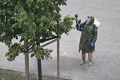 Массовое нашествие клещей парализовало отдых жителей Калининградской области в конце лета