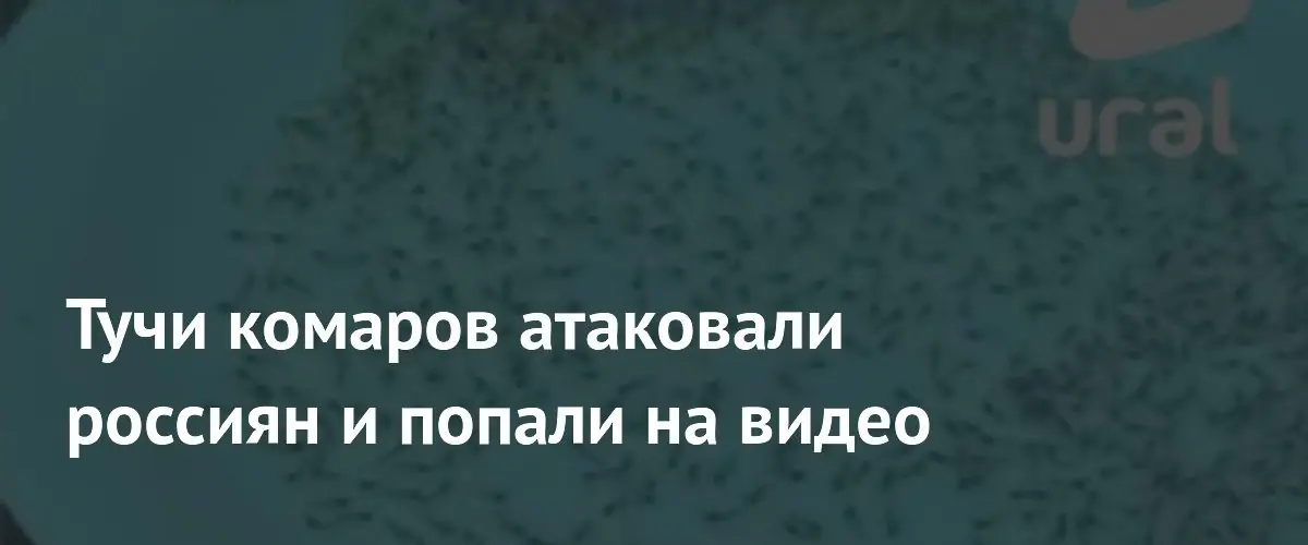 Массовое нашествие комаров охватило жителей Челябинской и Свердловской областей