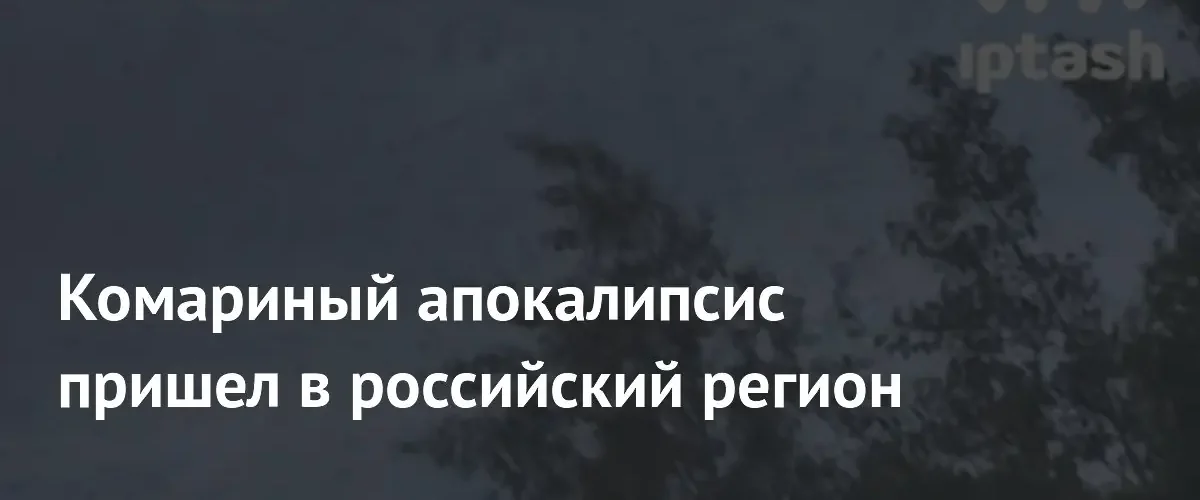 Массовое нашествие комаров зафиксировано в Мамадышском районе Республики Татарстан