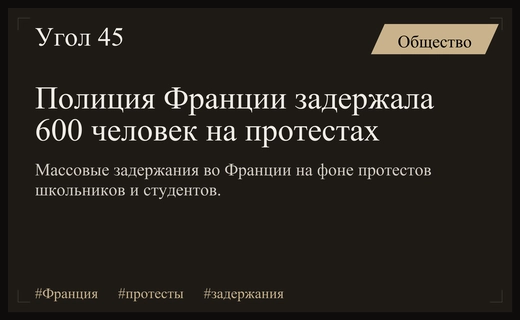 Массовые задержания во Франции на фоне протестов учащихся и беспорядков