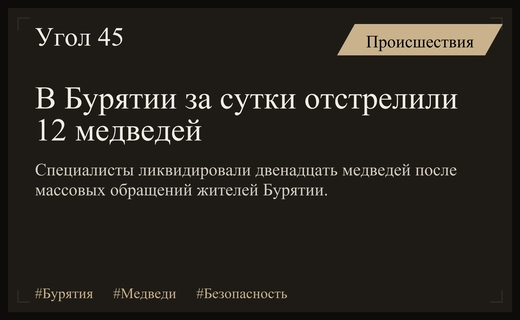 Массовый выход медведей в населенные пункты Бурятии вынудил охотников провести отстрел