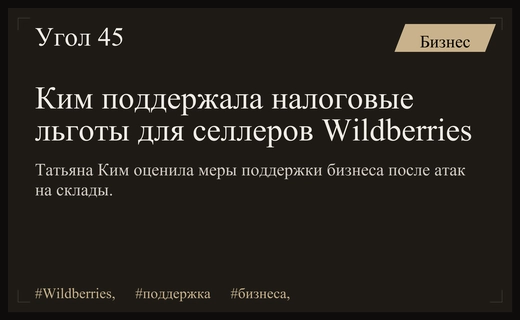 Татьяна Ким поддержала налоговые послабления для селлеров после атак на склады