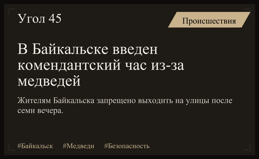 В Байкальске введен комендантский час из-за участившихся нападений бурых медведей