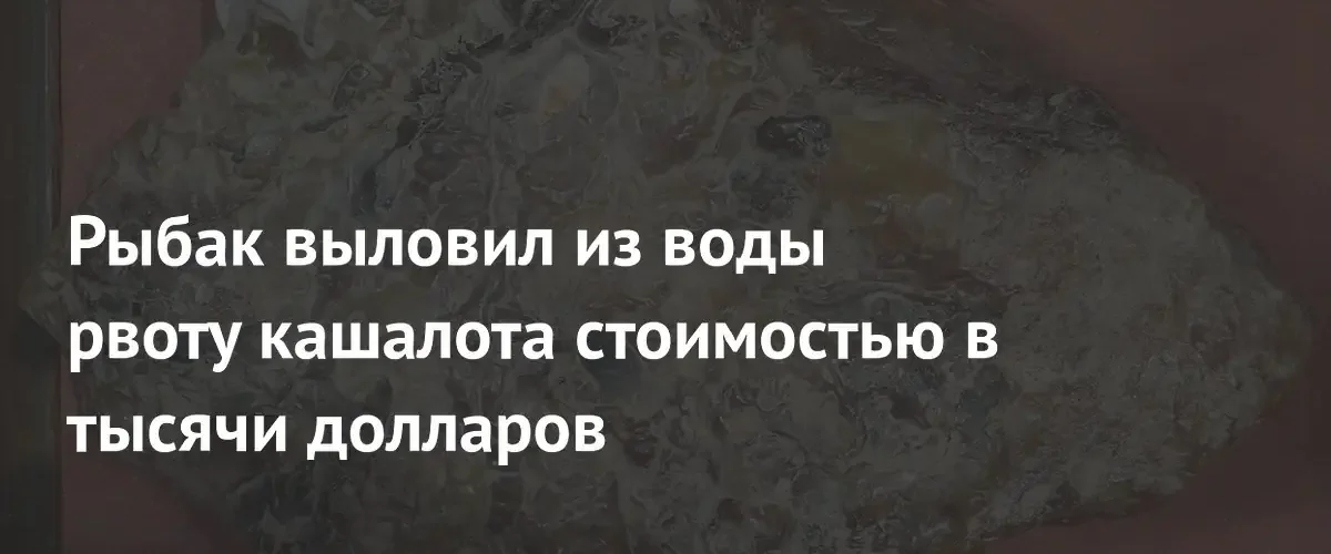 Тайский рыбак обнаружил в океане ценную амбру стоимостью в тысячи долларов