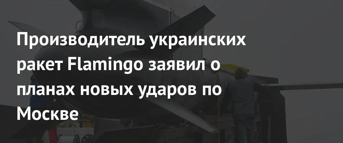 Разработчик украинских ракет Flamingo анонсировал возможные удары баллистикой по Москве