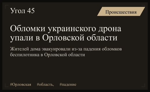 Обломки украинского беспилотника упали рядом с жилым домом в Орловской области