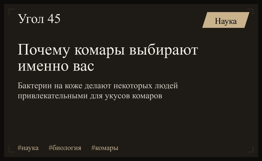 Ученые из США выяснили почему одни люди привлекательнее для комаров