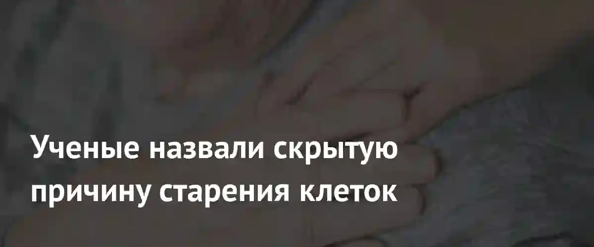 Ученые нашли способ восстановить энергию клеток с помощью липидов