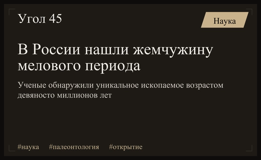 Ученые обнаружили уникальную жемчужину возрастом девяносто миллионов лет в России
